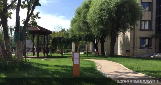 皮肤病医院改革与发展座谈会在京成功召开！(图16)