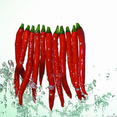 请白白们警惕可怕的白癜风并发症！(图1)